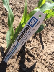 Photo Jun 05, 2 52 03 PM