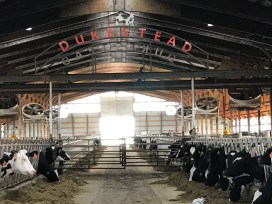 Photo May 02, 5 22 27 PM