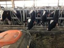 Photo May 02, 5 28 38 PM