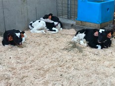 Photo May 02, 5 33 05 PM.jpg