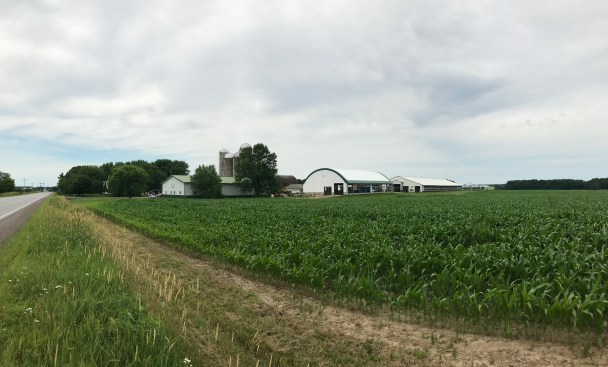 Photo Jul 03, 11 32 48 AM.jpg